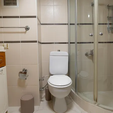 Peaceful & Spacious Apt W/garden In Center Of City